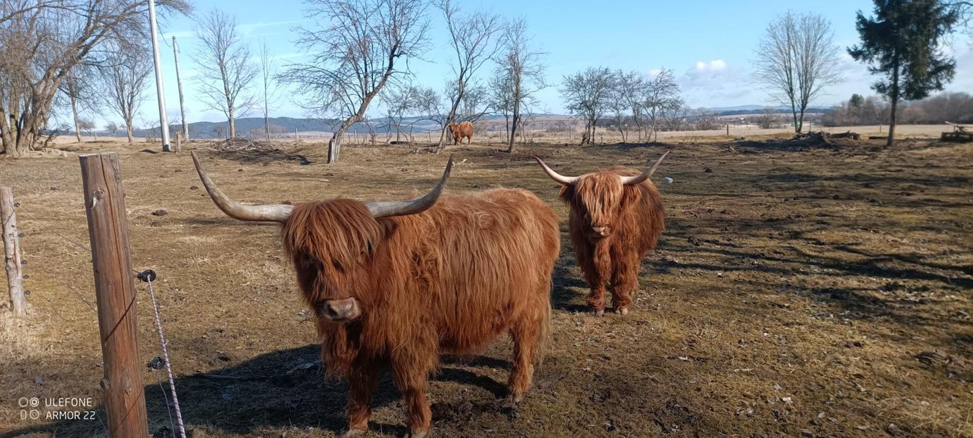 Hrabušice Podlesok 697ヴィラ エクステリア 写真