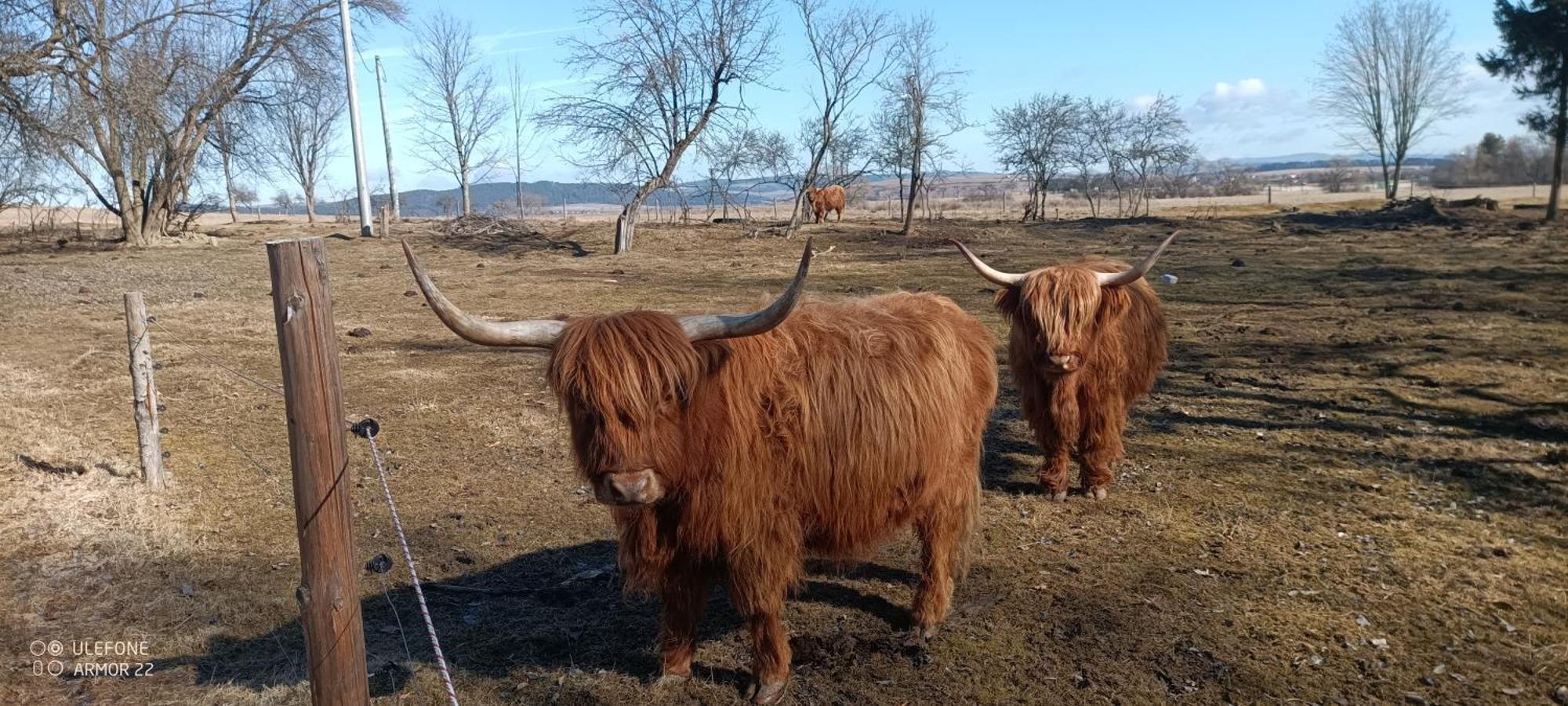 Hrabušice Podlesok 697ヴィラ エクステリア 写真