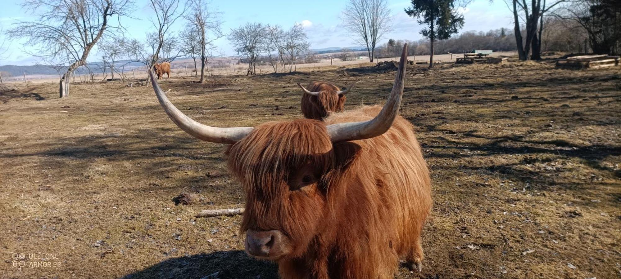 Hrabušice Podlesok 697ヴィラ エクステリア 写真